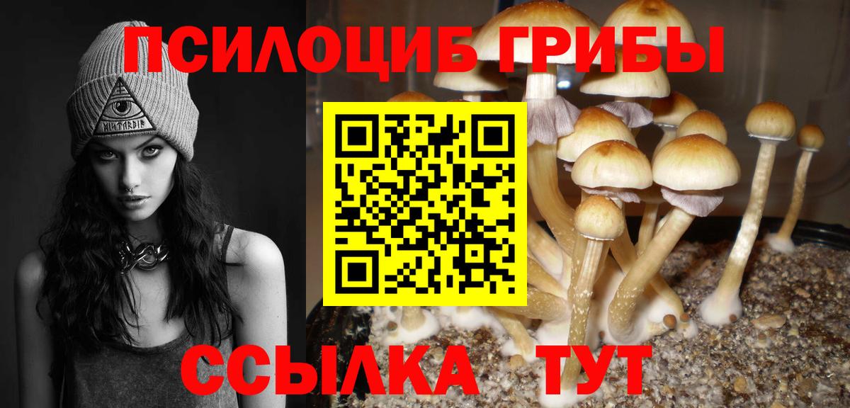Джанкой  Галлюциногенные грибы MAGIC MUSHROOMS  наркота  Вход с VPN  Галлюциногенные грибы MAGIC MUSHROOMS 